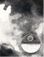 Other visual work and related press clips